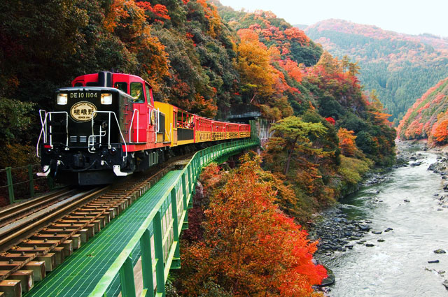 秋の嵯峨野トロッコ列車